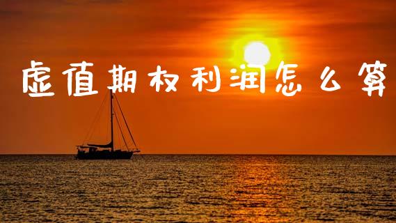 虚值期权利润怎么算_https://cj002.lansai.wang_期货问答_第1张