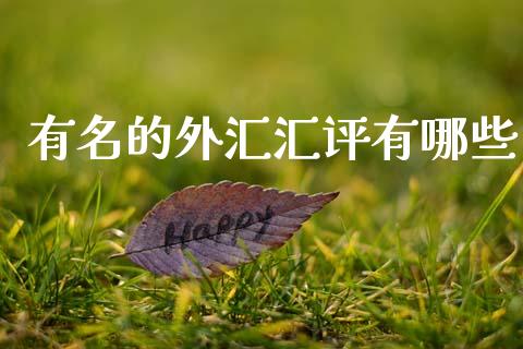 有名的外汇汇评有哪些_https://cj002.lansai.wang_财经问答_第1张