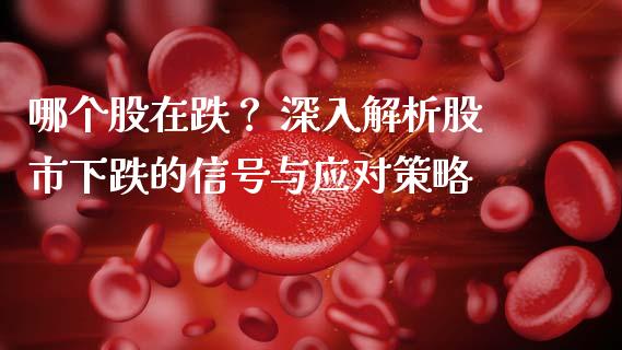 哪个股在跌？ 深入解析股市下跌的信号与应对策略_https://cj002.lansai.wang_股市问答_第1张