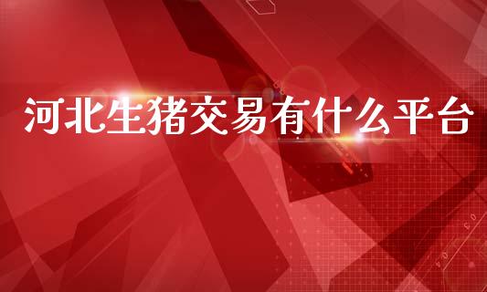 河北生猪交易有什么平台_https://cj002.lansai.wang_保险问答_第1张