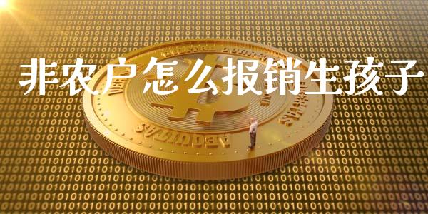 非农户怎么报销生孩子_https://cj002.lansai.wang_保险问答_第1张