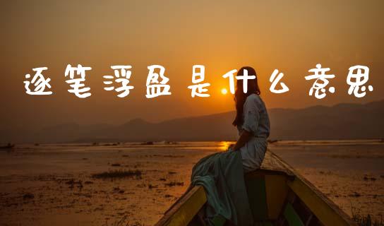 逐笔浮盈是什么意思_https://cj002.lansai.wang_财经百问_第1张