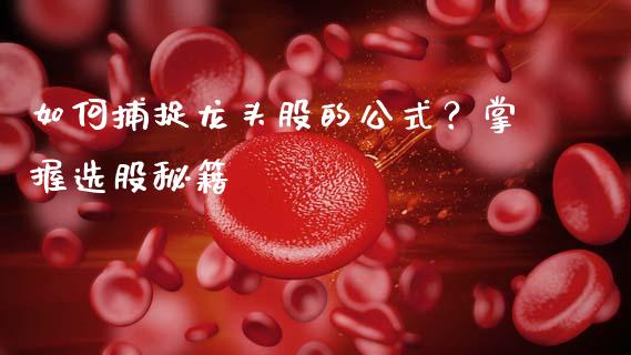 如何捕捉龙头股的公式？掌握选股秘籍_https://cj002.lansai.wang_期货问答_第1张