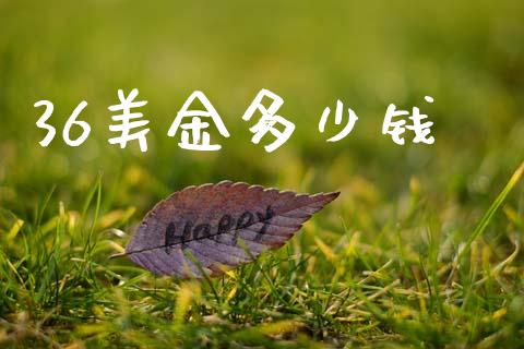 36美金多少钱_https://cj002.lansai.wang_财经问答_第1张