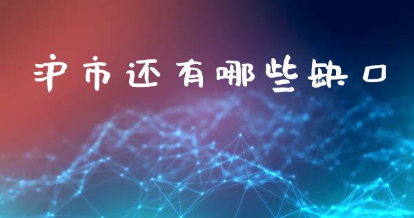 沪市还有哪些缺口_https://cj002.lansai.wang_金融问答_第1张