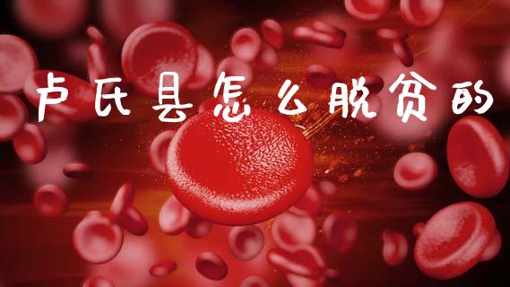 卢氏县怎么脱贫的_https://cj002.lansai.wang_保险问答_第1张