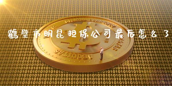 鹤壁市明昆担保公司最后怎么了_https://cj002.lansai.wang_期货问答_第1张