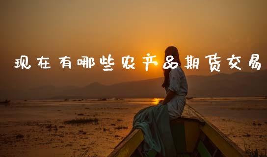 现在有哪些农产品期货交易_https://cj002.lansai.wang_股市问答_第1张