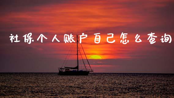 社保个人账户自己怎么查询_https://cj002.lansai.wang_保险问答_第1张