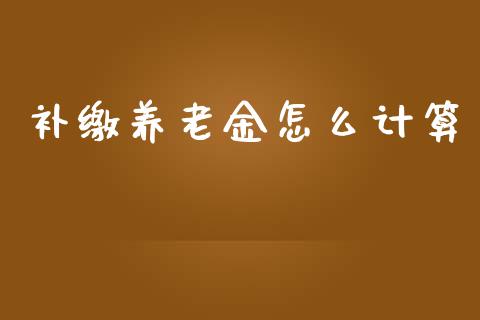 补缴养老金怎么计算_https://cj002.lansai.wang_保险问答_第1张