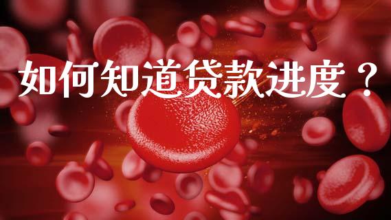 如何知道贷款进度？_https://cj002.lansai.wang_财经百问_第1张