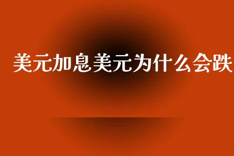 美元加息美元为什么会跌_https://cj002.lansai.wang_财经问答_第1张