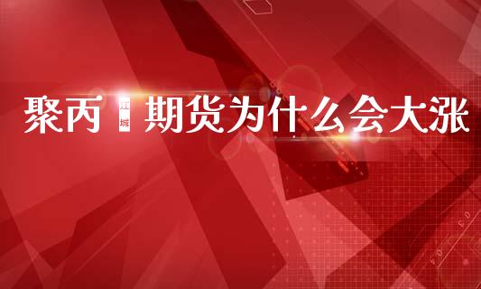 聚丙烯期货为什么会大涨_会计问答_第1张_财经百问网 聚丙烯期货为什么会大涨_https://cj002.lansai.wang_会计问答_第1张