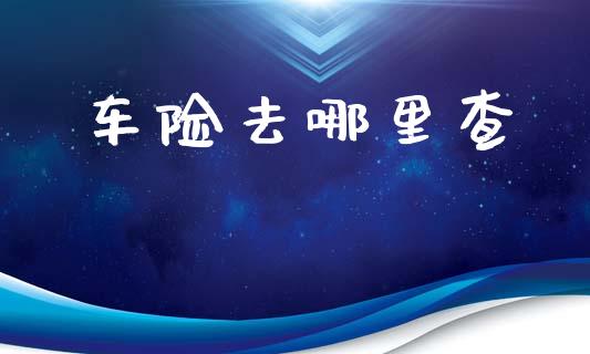 车险去哪里查_https://cj002.lansai.wang_理财问答_第1张