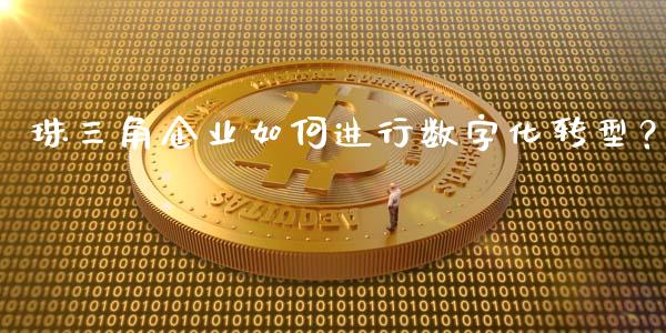 珠三角企业如何进行数字化转型？_https://cj002.lansai.wang_会计问答_第1张