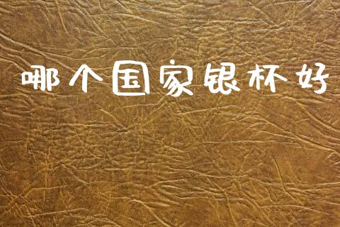 哪个国家银杯好_https://cj002.lansai.wang_金融问答_第1张