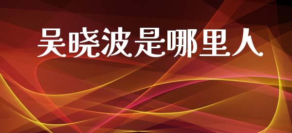 吴晓波是哪里人_https://cj002.lansai.wang_金融问答_第1张