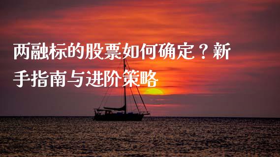 两融标的股票如何确定？新手指南与进阶策略_https://cj002.lansai.wang_理财问答_第1张