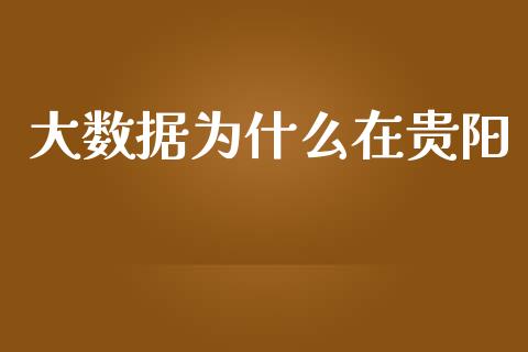 大数据为什么在贵阳_https://cj002.lansai.wang_财经百问_第1张