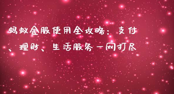 蚂蚁金服使用全攻略：支付、理财、生活服务一网打尽_https://cj002.lansai.wang_保险问答_第1张
