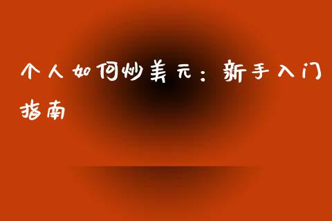 个人如何炒美元：新手入门指南_https://cj002.lansai.wang_期货问答_第1张