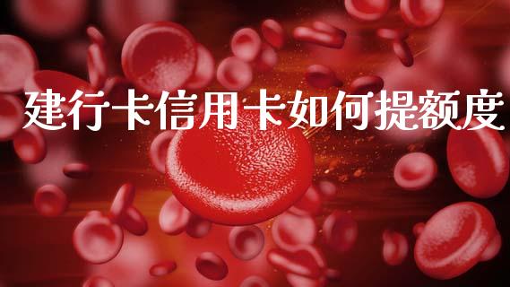 建行卡信用卡如何提额度_https://cj002.lansai.wang_理财问答_第1张