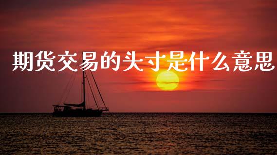 期货交易的头寸是什么意思_https://cj002.lansai.wang_保险问答_第1张