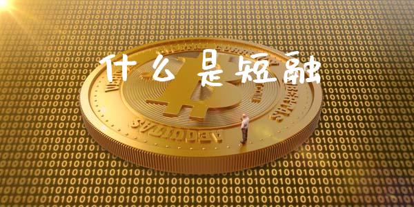 什么是短融_https://cj002.lansai.wang_会计问答_第1张