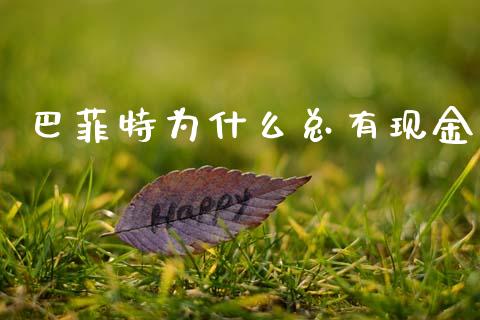巴菲特为什么总有现金_https://cj002.lansai.wang_期货问答_第1张