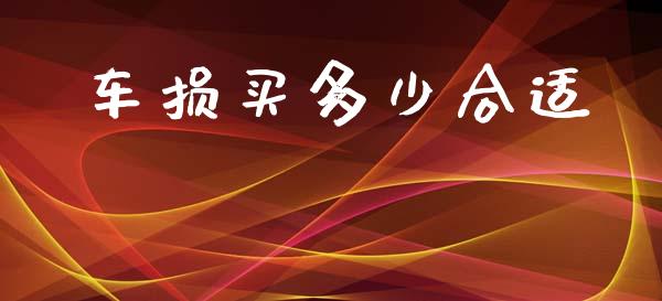 车损买多少合适_https://cj002.lansai.wang_财经百问_第1张