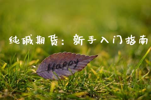 纯碱期货：新手入门指南_https://cj002.lansai.wang_期货问答_第1张