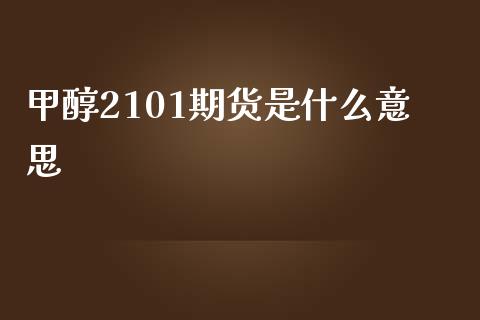 甲醇2101期货是什么意思_https://cj002.lansai.wang_财经问答_第1张