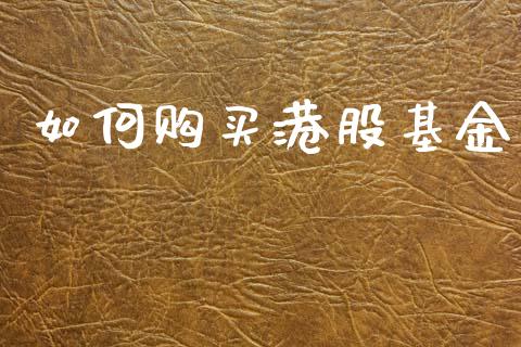 如何购买港股基金_https://cj002.lansai.wang_财经问答_第1张