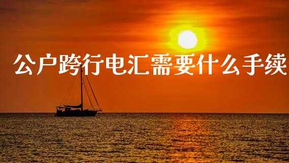 公户跨行电汇需要什么手续_https://cj002.lansai.wang_金融问答_第1张