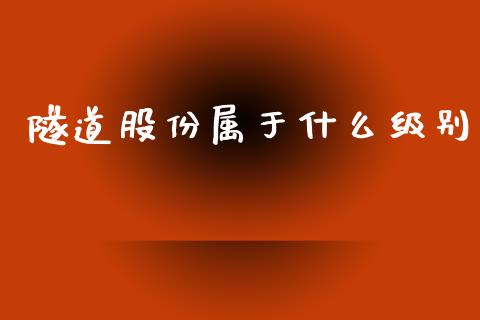 隧道股份属于什么级别_https://cj002.lansai.wang_股市问答_第1张