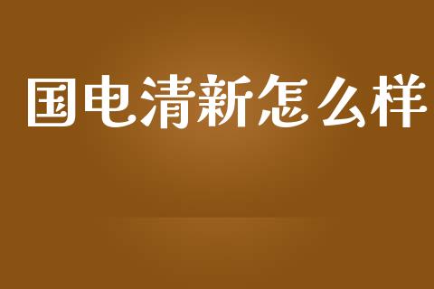 国电清新怎么样_https://cj002.lansai.wang_理财问答_第1张