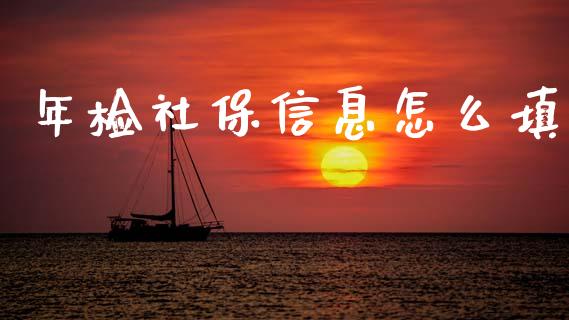 年检社保信息怎么填_https://cj002.lansai.wang_保险问答_第1张