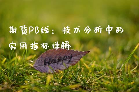 期货PB线：技术分析中的实用指标详解_https://cj002.lansai.wang_会计问答_第1张