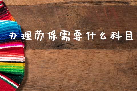 办理劳保需要什么科目_https://cj002.lansai.wang_会计问答_第1张