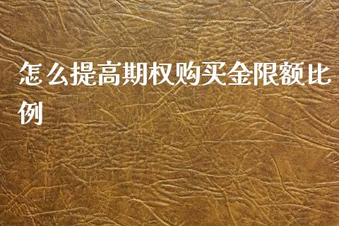 怎么提高期权购买金限额比例_https://cj002.lansai.wang_期货问答_第1张