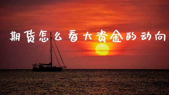 期货怎么看大资金的动向_https://cj002.lansai.wang_期货问答_第1张