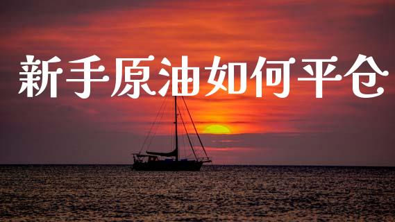 新手原油如何平仓_https://cj002.lansai.wang_财经百问_第1张
