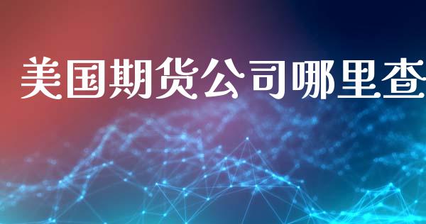 美国期货公司哪里查_https://cj002.lansai.wang_金融问答_第1张