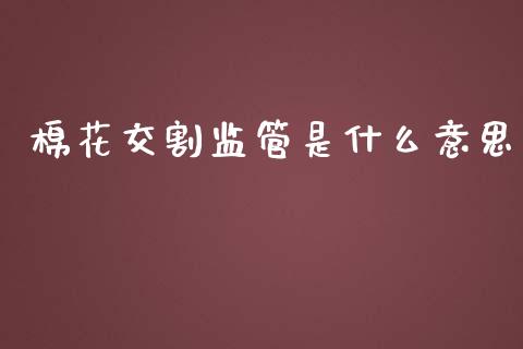 棉花交割监管是什么意思_https://cj002.lansai.wang_期货问答_第1张