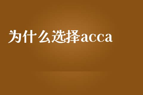 为什么选择acca_https://cj002.lansai.wang_会计问答_第1张