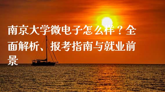 南京大学微电子怎么样？全面解析、报考指南与就业前景_https://cj002.lansai.wang_财经百问_第1张