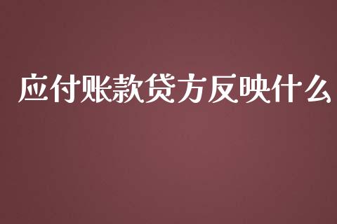 应付账款贷方反映什么_https://cj002.lansai.wang_会计问答_第1张