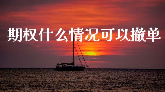 期权什么情况可以撤单_https://cj002.lansai.wang_期货问答_第1张