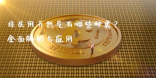 非民用天然气有哪些种类？全面解析与应用_https://cj002.lansai.wang_金融问答_第1张