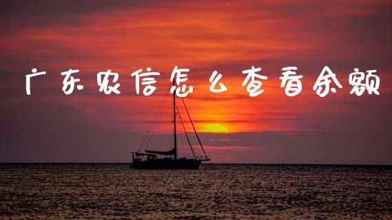 广东农信怎么查看余额_https://cj002.lansai.wang_金融问答_第1张